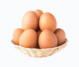 Point of lay chickens ready for production in Ibadan,Lagos and Oyo